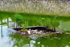 竹取公園
