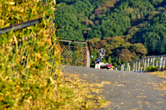 男の背中