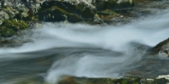 流れ