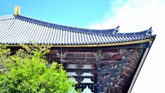 奈良公園