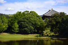 奈良公園
