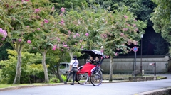 奈良公園