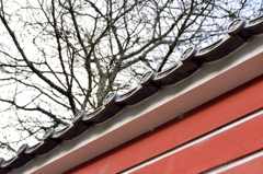 當麻寺
