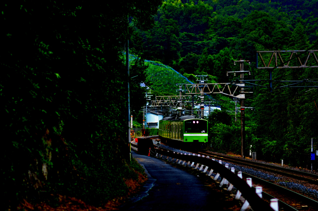 JR大和路線