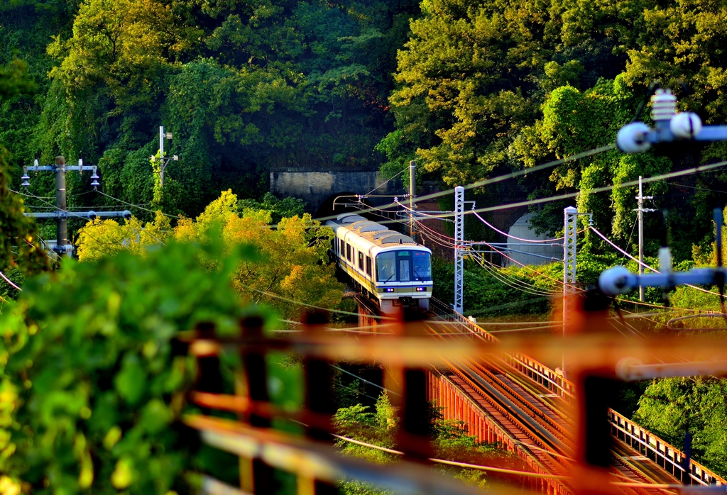 JR大和路線