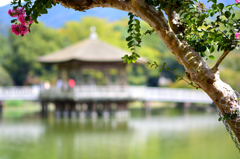 奈良公園