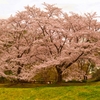 遠くの名所より近場の公園