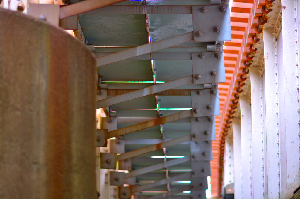 DSC_0549