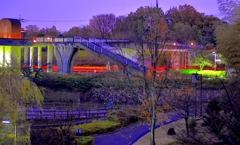 真っ暗な公園で・・・