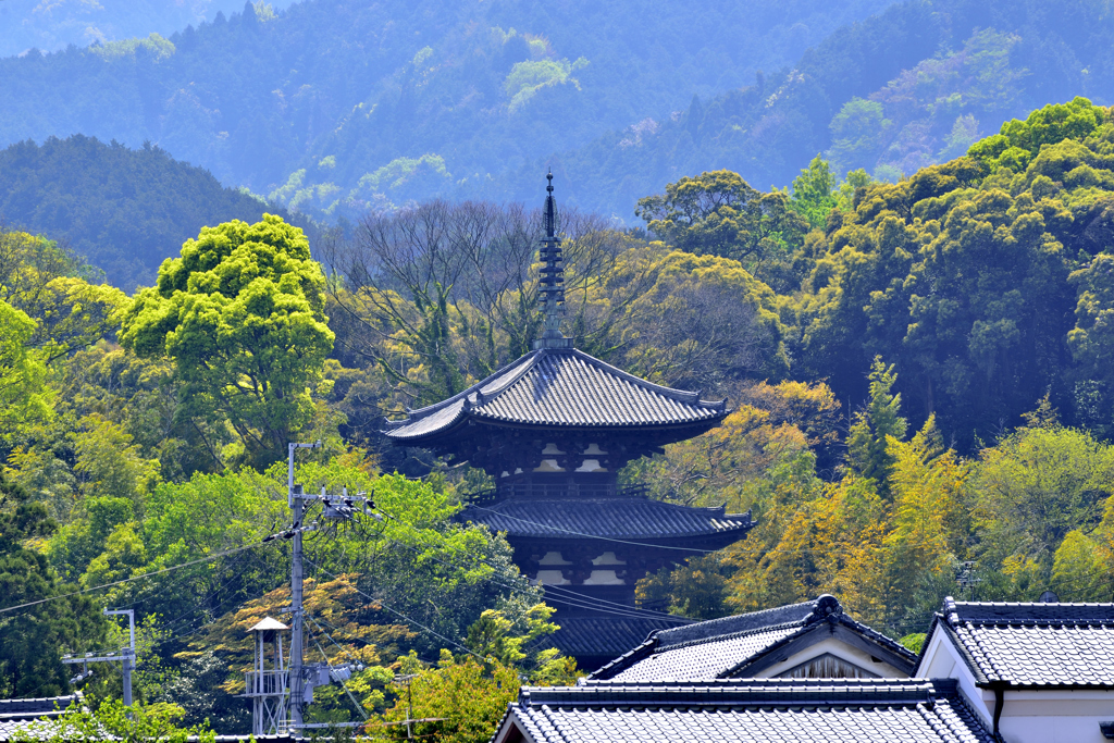 當麻寺