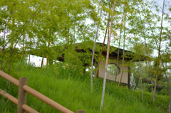 竹取公園