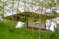 竹取公園
