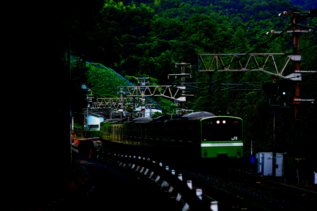 JR大和路線