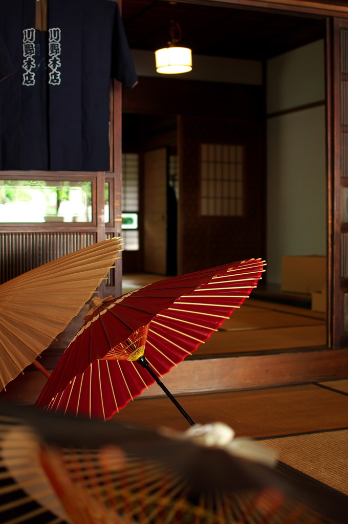 Japanese umbrella wholesaler