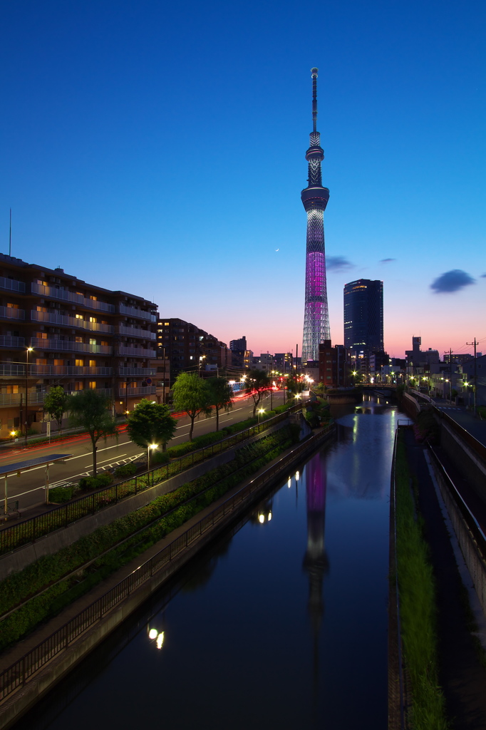 Magic Hour and TOKYO SKYTREE