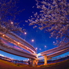 Collaboration of spring