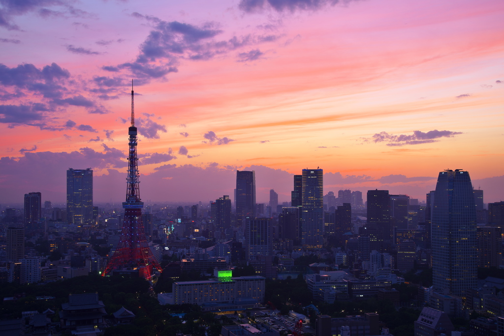 Tokyo Twilight