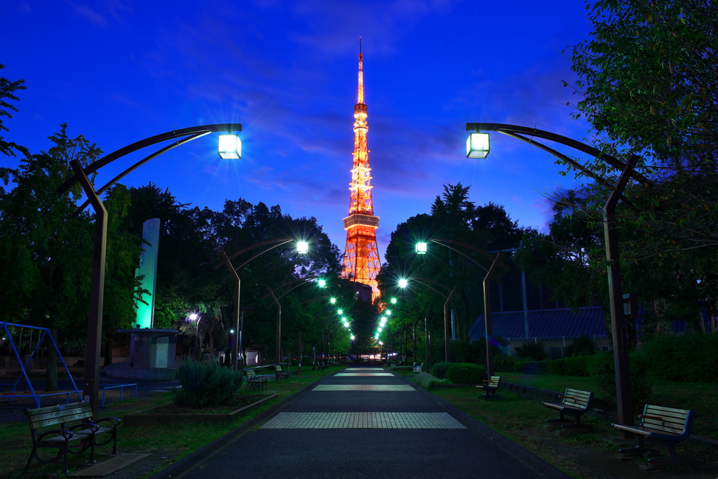Road of light