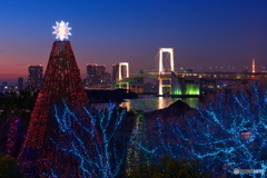 Odaiba's tree