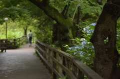 石神井公園にて