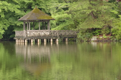 石神井公園にて