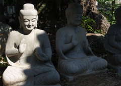 光と影