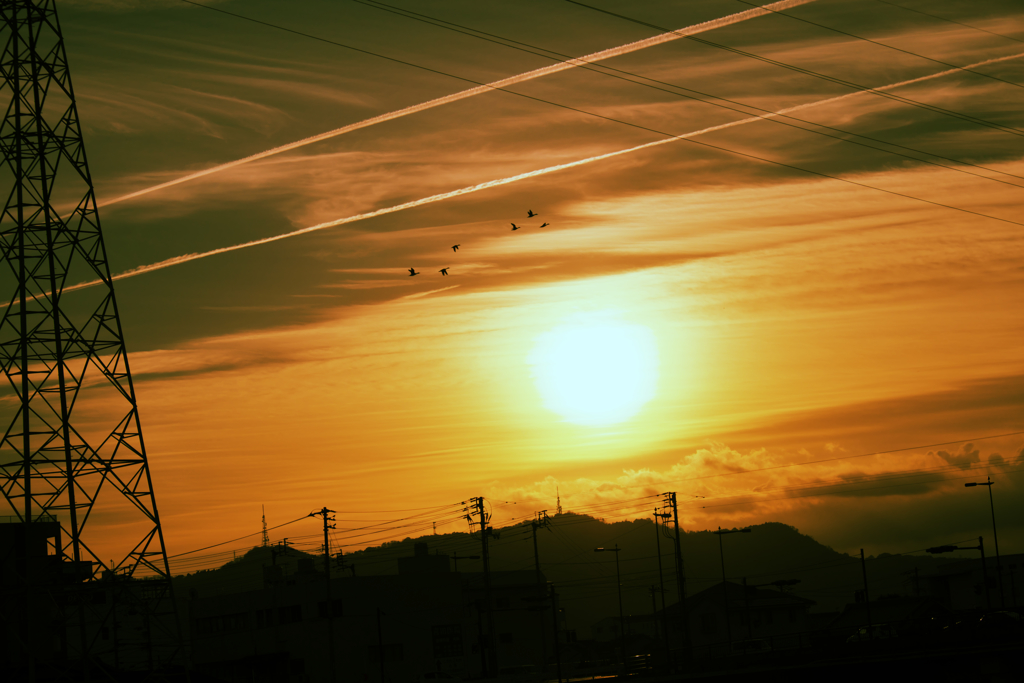 朝日と飛行機雲