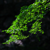 山寺にて１