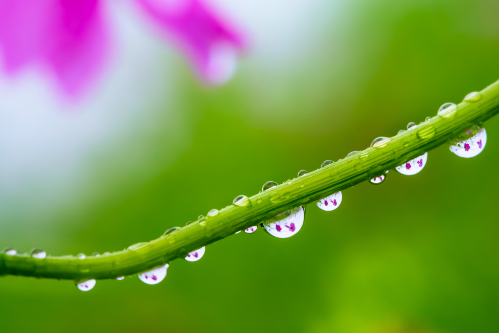 雨上がり