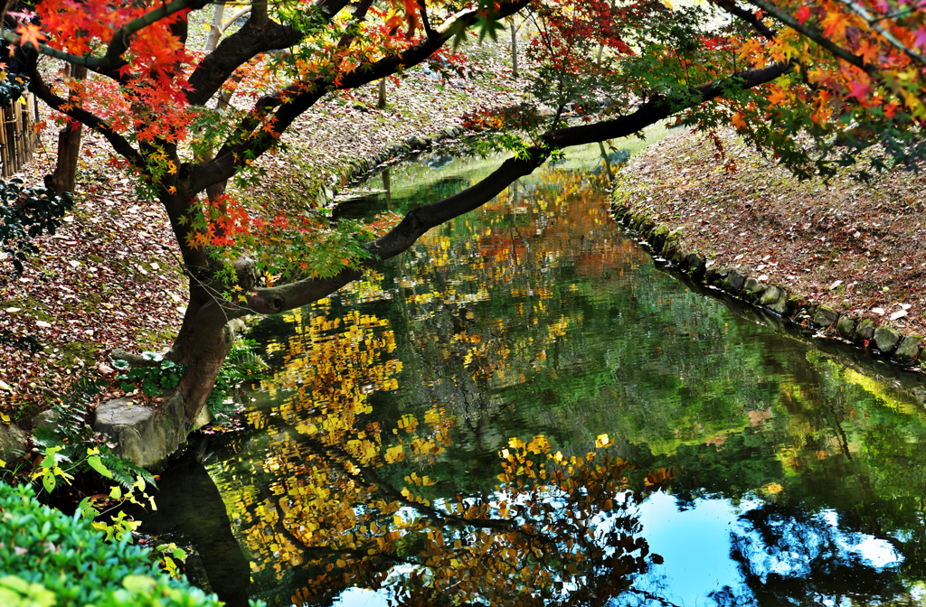 紅葉も終りそう