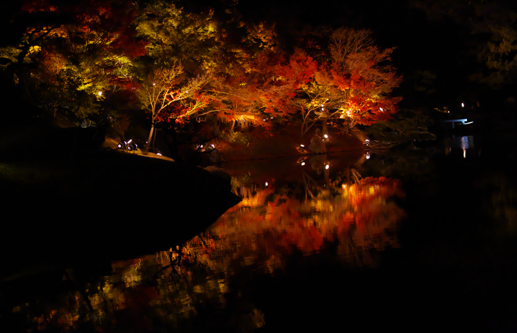 紅葉と池（ライトアップ）