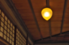 優しい光