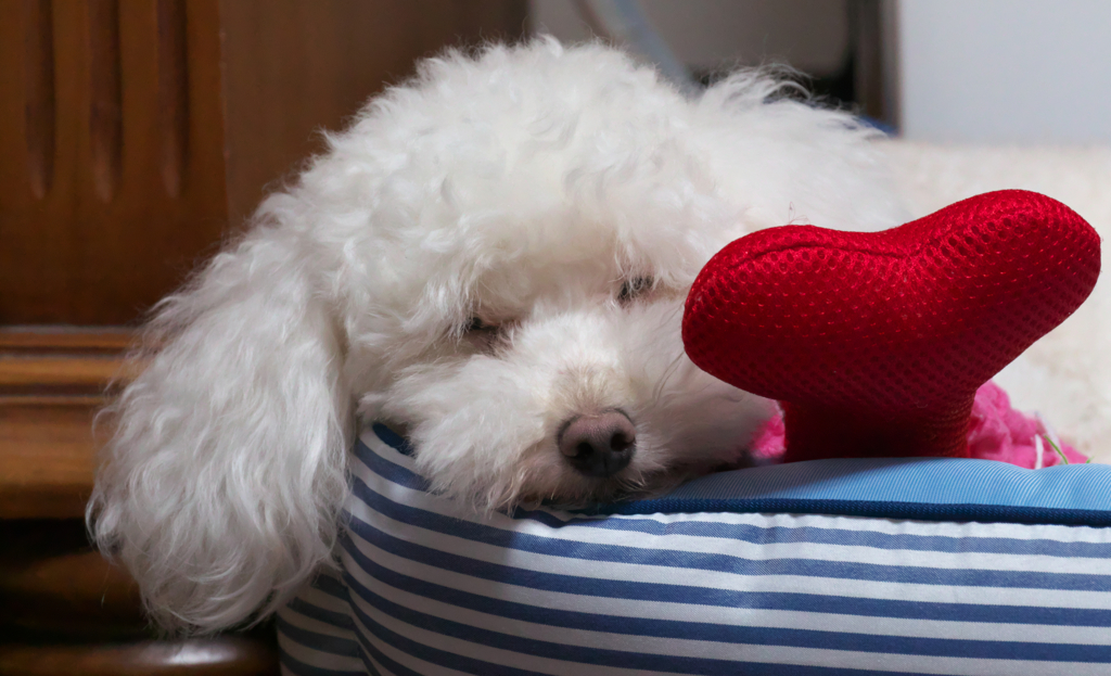 眠るで。