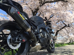 春と硬質。