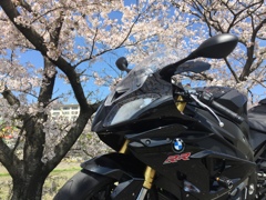 さくらとWATASHI