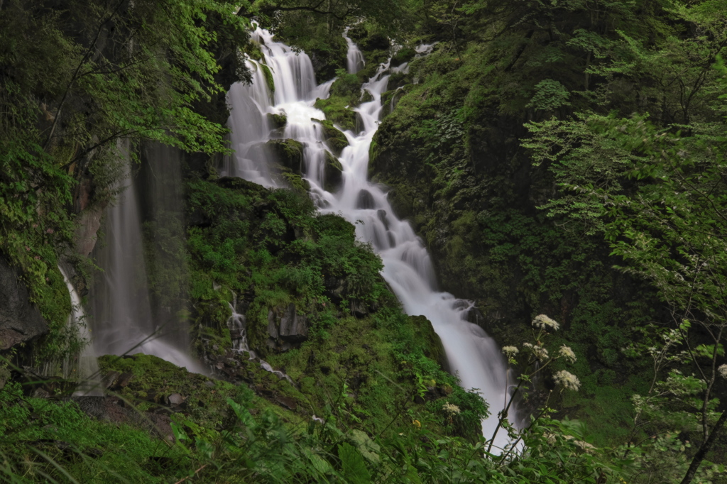白雲の滝　上流