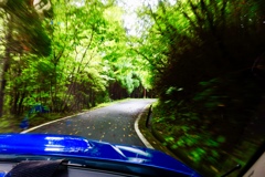 緑の中を走る真っ青の車