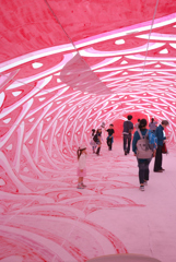 鯉のぼりのなか