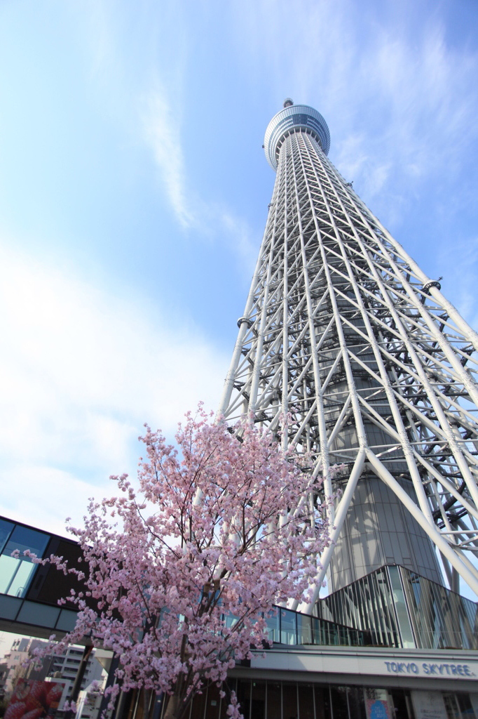 東京スカイツリー３