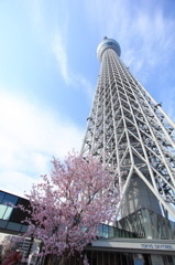 東京スカイツリー３