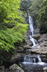菅生の滝