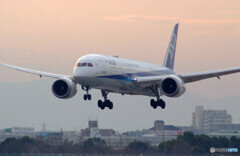 癒しの時間✈Boeing787-9