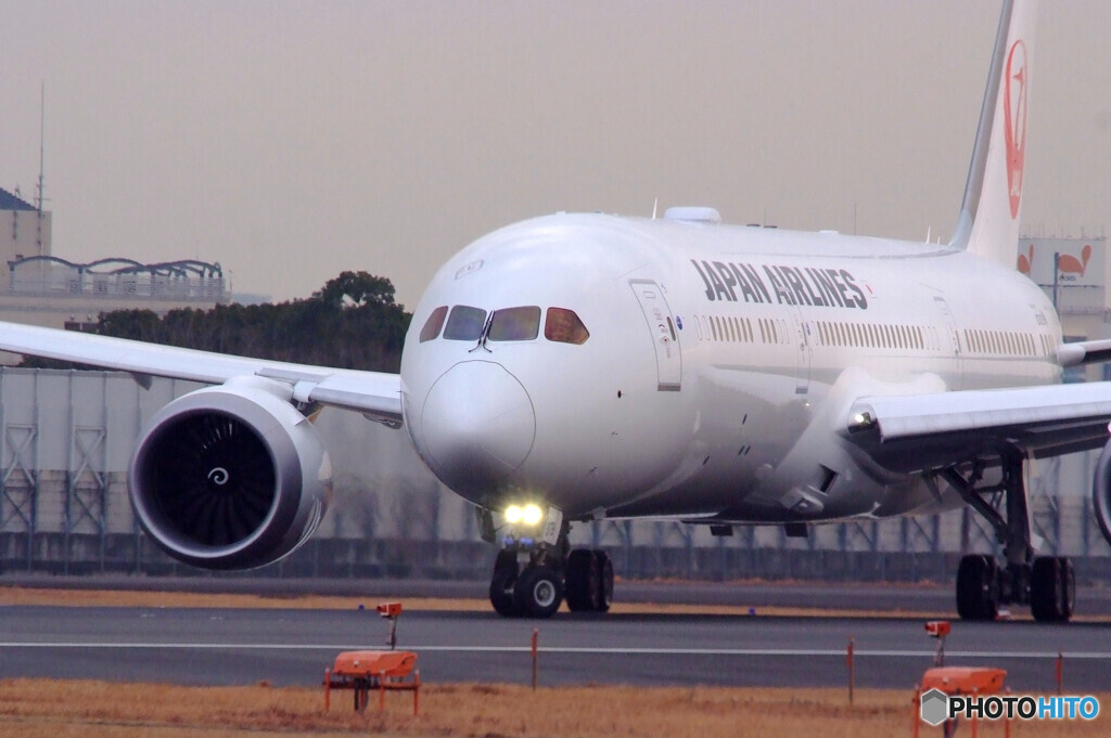 NEW STAR降臨✈Boeing 787-9 