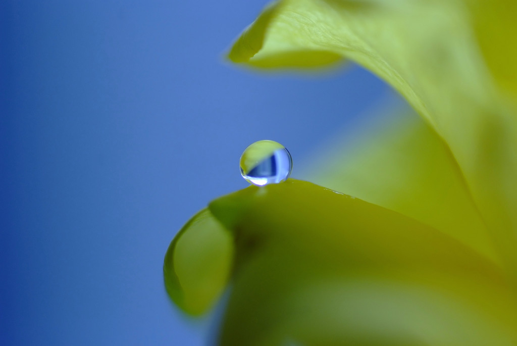 雫を巡る旅へ・（Ⅳ）