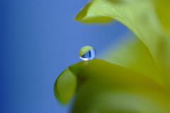 雫を巡る旅へ・（Ⅳ）