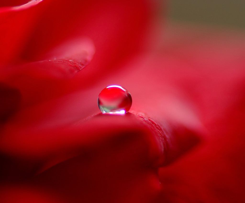 静かなるレジェンド