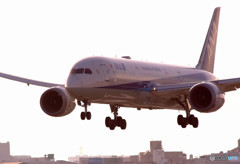 Weekend of Hero・JA830A