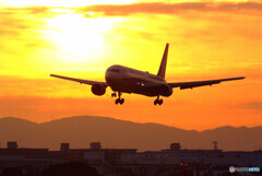 Natural Light✈Boeing767