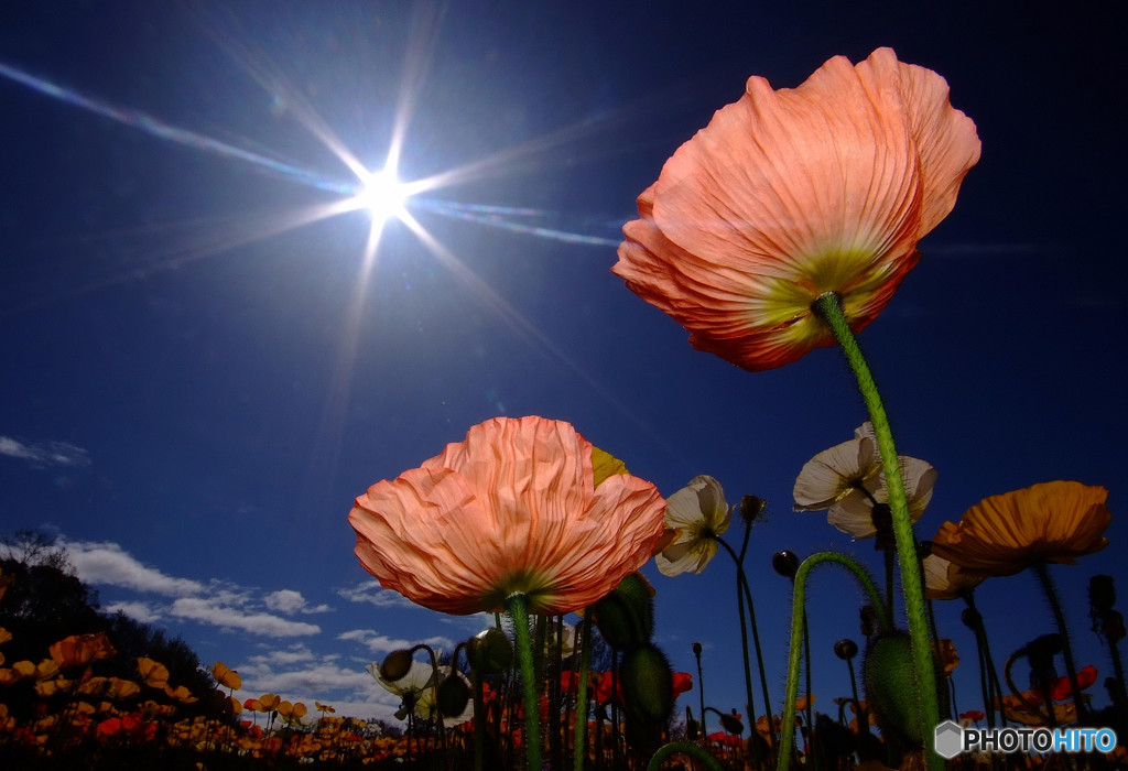 眩しいふたり！