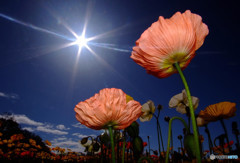 眩しいふたり！